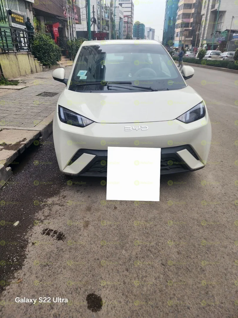 2024 Model-BYD Seagull
