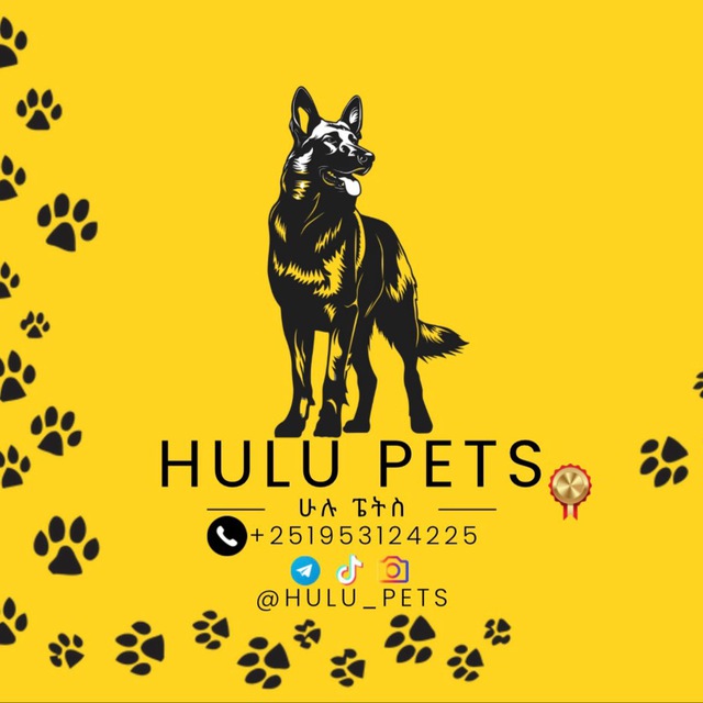 HULU PETS