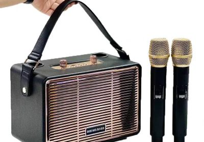 Portable Professional Karaoke Dual Microphone