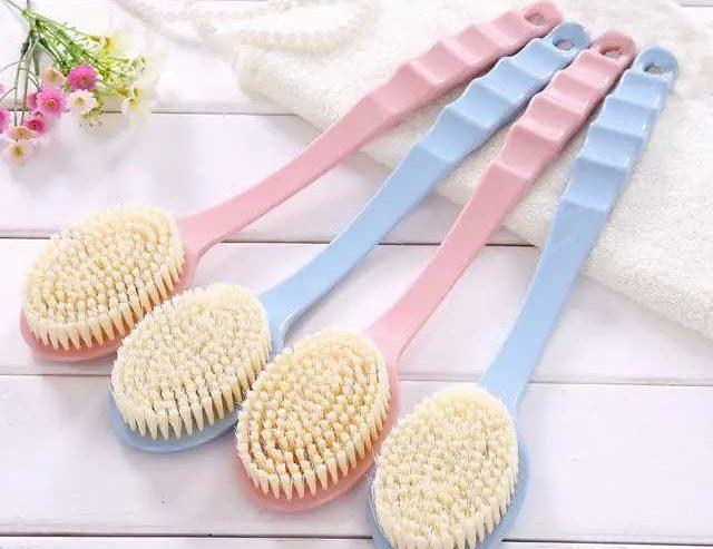 Long Handled Bath Brush