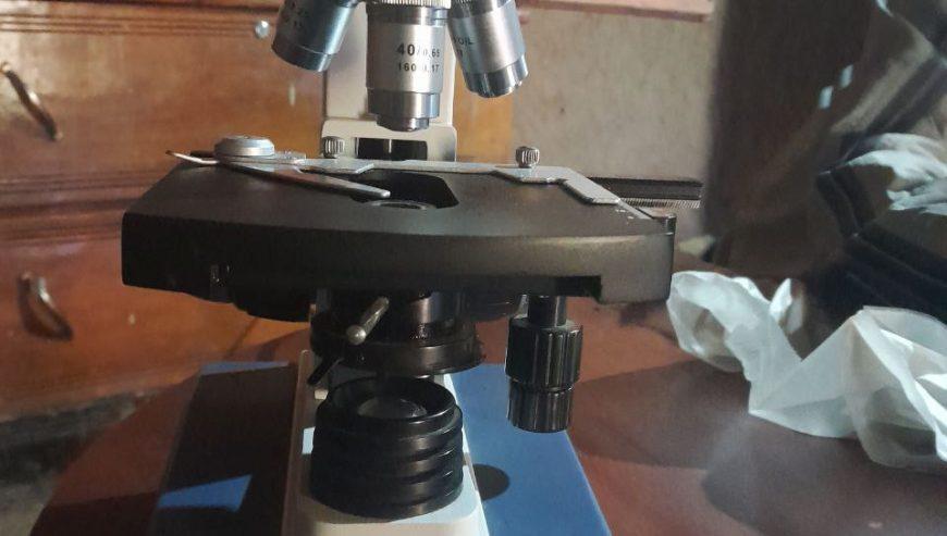 Magnus Microscope