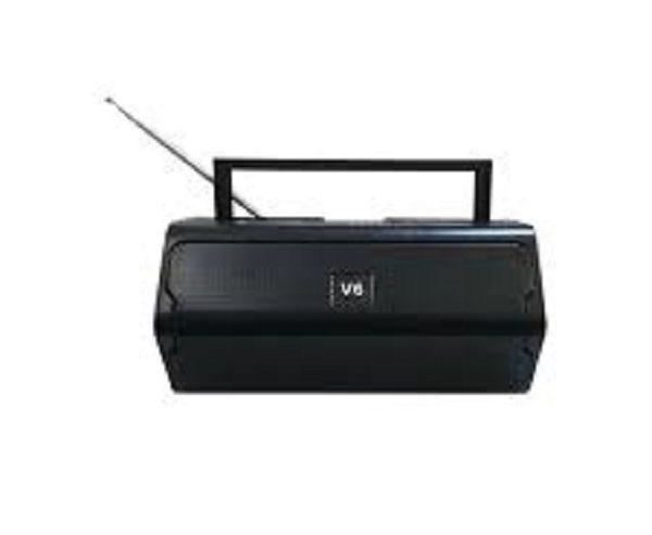 V6 Portable Wireless Bluetooth Speaker And Radio Fm