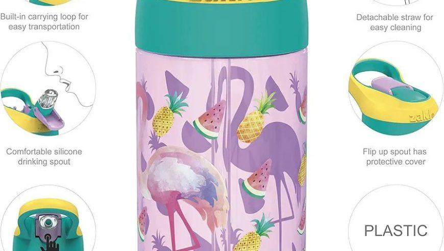 Zak Designs 16oz Riverside Desert Life Kids Water Bottle with Straw