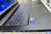 Acer Predator Helios 300 Core i9 11th Generation Laptop