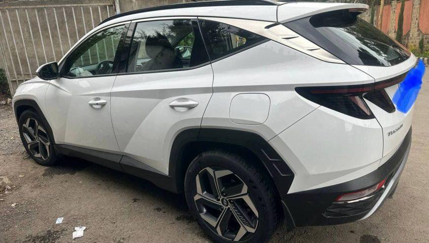 2022 Model-Hyundai Tucson