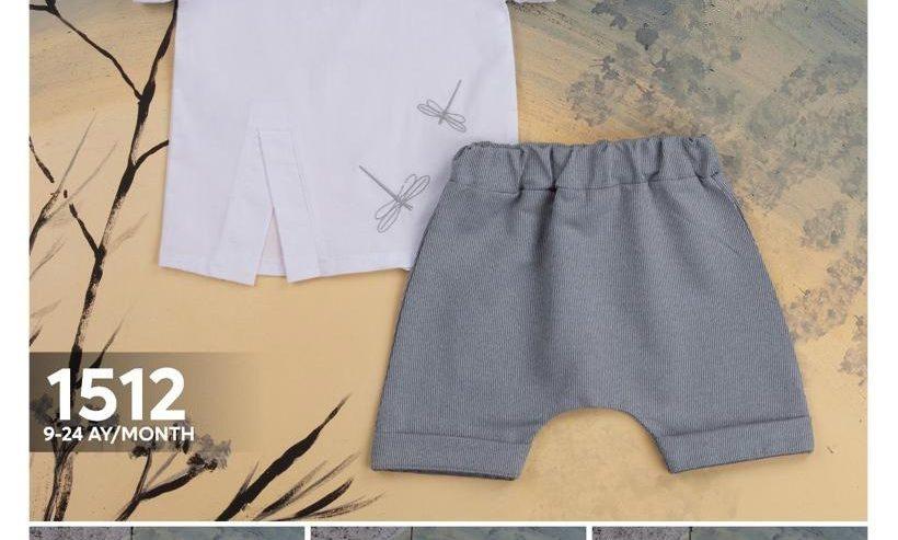 Casual Boys Short and Shirt Set