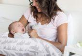 The Peanutshell Nursing Pillow