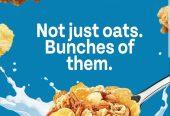 Honey Bunches of Oats with Almonds