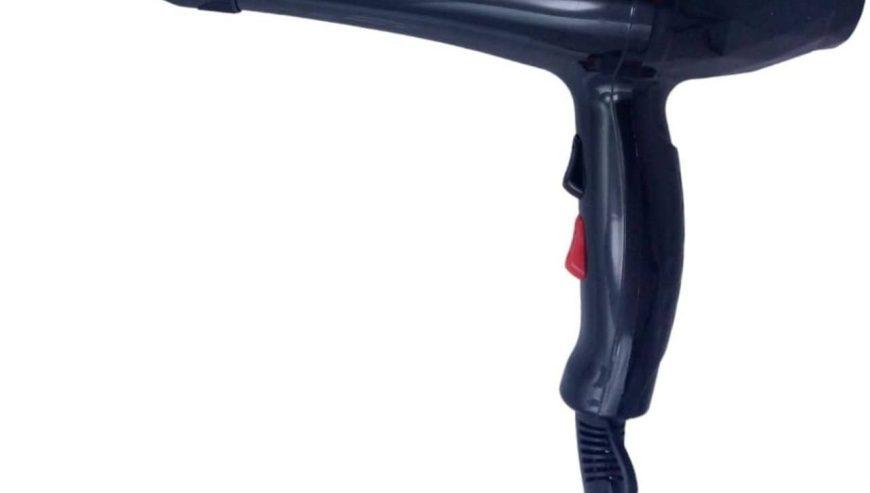 Promax Professional Hair Dryer