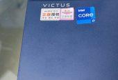 Victus Core i7-11th Generation Gaming Laptop