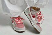 Nike Dunk Women’s Shoes