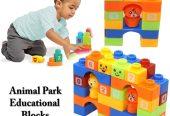 Educational Building Blocks puzzle