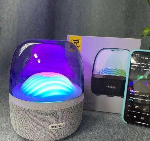 ZIDLI Bluetooth Speaker