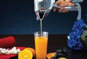 Manual Fruit Press Juicer