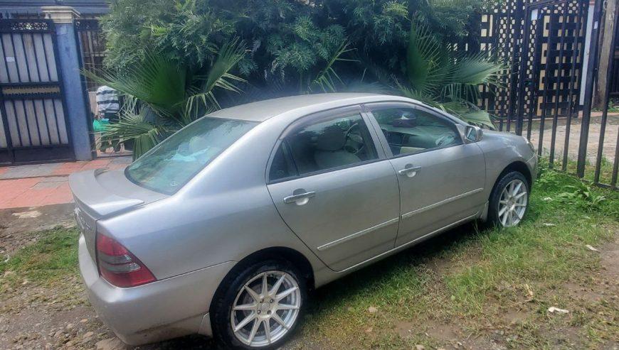 2004 Model-Toyota Corolla