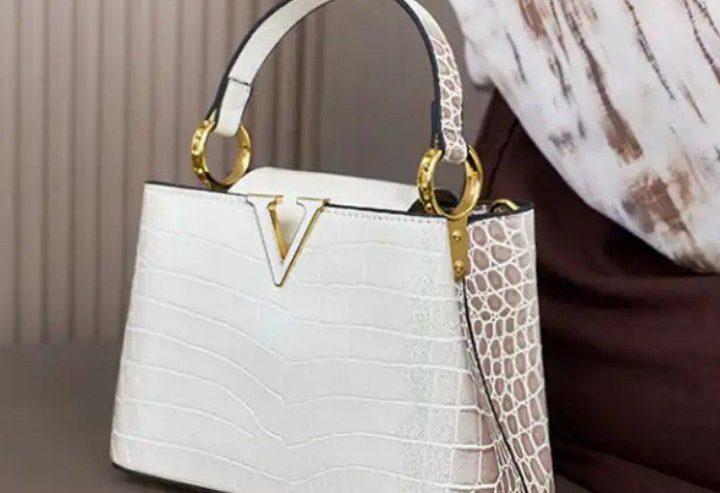 Louis Vuitton Lexury Brand Bag