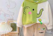 Cartoon Animal Hooded Top With Pant Set