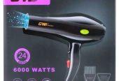 GW Hair Dryer