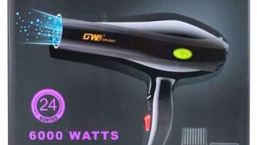 GW Hair Dryer