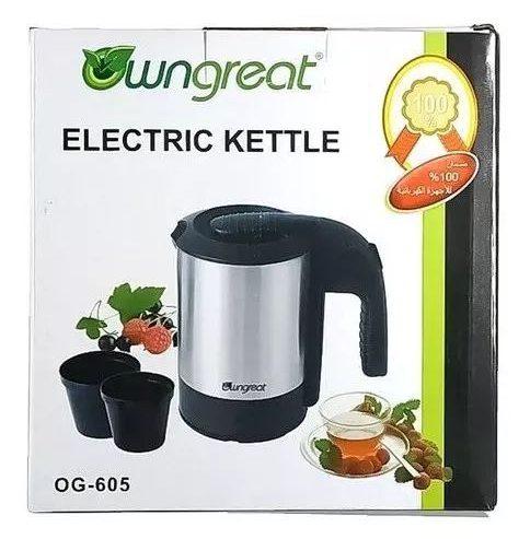 Wngreat Mini Electric Kettle