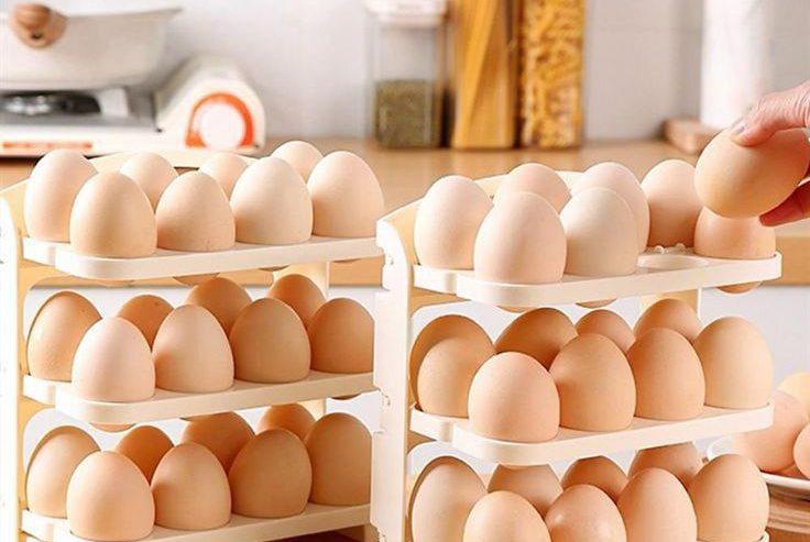 Folding Egg Rack