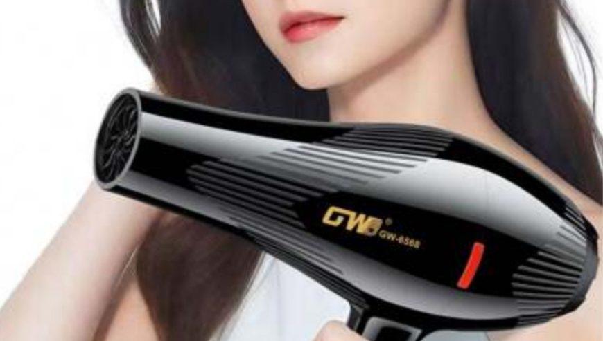 GW Professional Hair Dryer