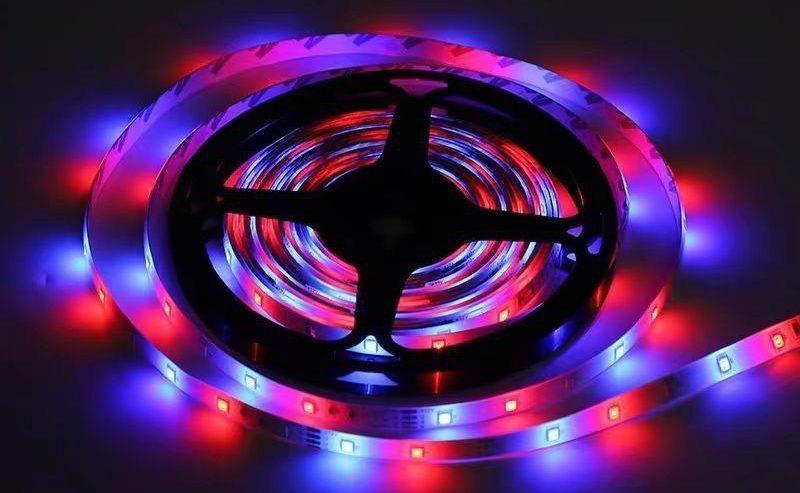 Super Bright 5m LED Strip Light