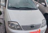 2003 Model-Toyota Corolla